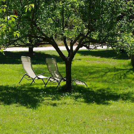 Les Chaises Longues